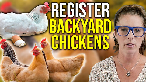 ALL chicken owners must register in UK || Texas Slim