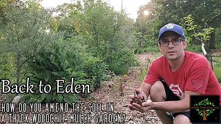 Back to Eden garden - How do I amend my soil?