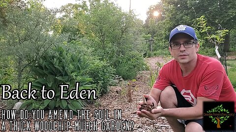 Back to Eden garden - How do I amend my soil?