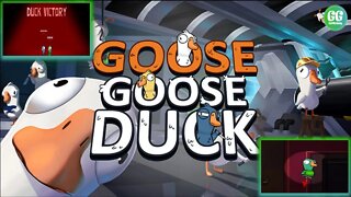 Goosee Toosdee! | Goose Goose Duck with Friends!