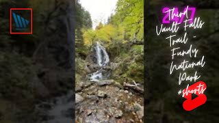 Third Vault Falls Trail - Fundy National Park #shorts