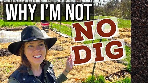 The Cons of No Dig with Clay Soil