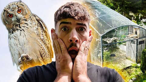 I Spent 24H In OWL CAGE! - ( EPIC FAIL )