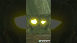 BOTW: Destroying Bokoblins To Win A Prize