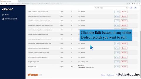 How to edit or delete MX Record in cPanel using the DNS Zone Editor with FelizHosting