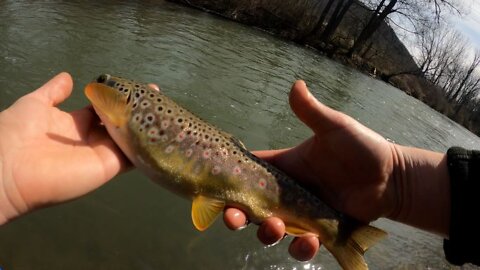 First Day of Trout Audible