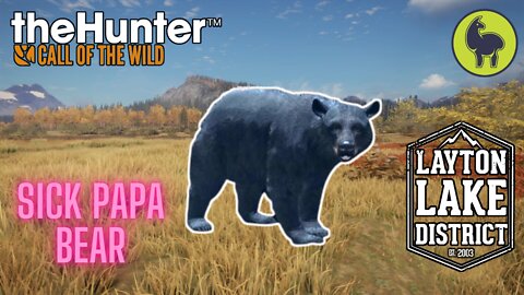 The Hunter: Call of the Wild, Hope- Sick Papa Bear, Layton Lakes (PS5 4K)