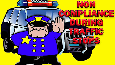 Noncompliance During Traffic Stops - LEO Round Table S06E27b