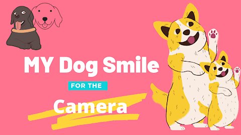 She Smile for the Camera 📸 | #cutepuppy #funnydog #funnypet