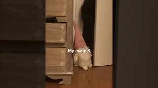 My mom3 Video By solitude555 #Shorts