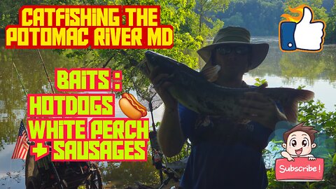 Potomac River Maryland Catfishing