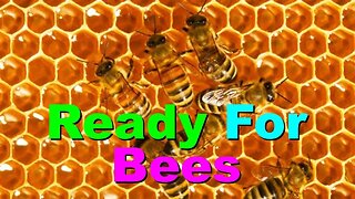 No. 625 – Are You Ready For Bees