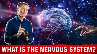 What is the Nervous System? Explained By Dr. Berg