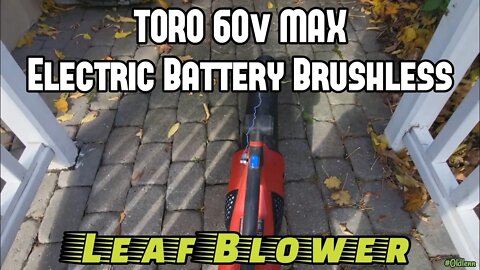 Short Video of the Toro 60 volt Leaf Blower in Action