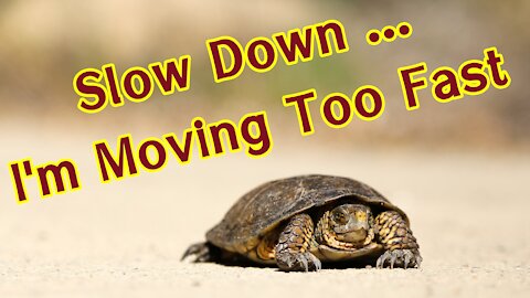 Slow Down … I’m Moving Too Fast!