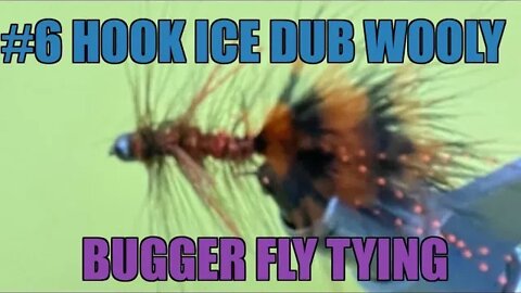 #6 Hook Ice Dub Wooly Bugger with Silli Legs