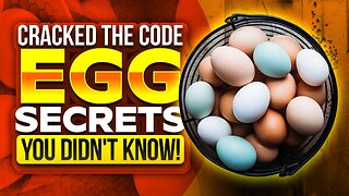 🥚 Cracking the Code: The ULTIMATE Guide to Eggs - Colors, Labels, Nutrition & More! #eggs #freerange