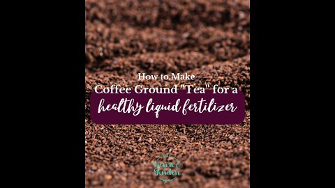 How to Make Coffee Ground "Tea" - a Healthy Liquid Garden Fertilizer