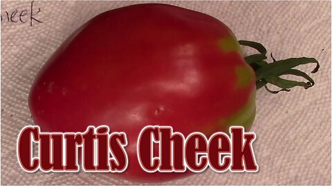 Tomato Review: Curtis Cheek