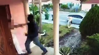 Police release surveillance video of attempted kidnapping in Miami