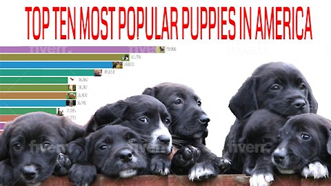 Ten most popular puppies in America 1885-2021