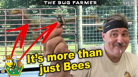 More Than Just BEES | There might be a Velociraptor or two in the bee yard. | #beekeeping #bees