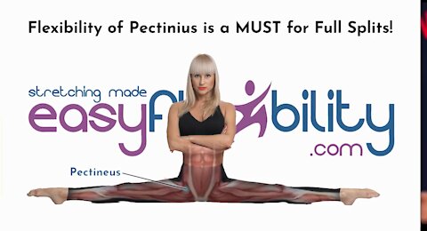 Flexibility of Pectinius is a MUST for Full Splits!