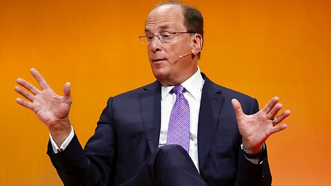 BLACK ROCK CEO LARRY FINK ! HE OWNS THE WORLD