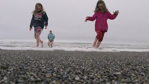 Gold Bluffs Beach - Redwood National Park