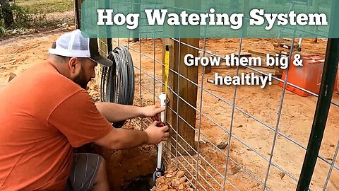 #Hog Nipple Tree | How to build a hog watering system for all ages and sizes using PVC pipe