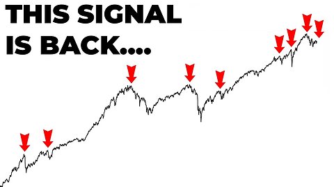Navigating the Conflicting Signals in the Stock Market: A Risk vs Reward Analysis