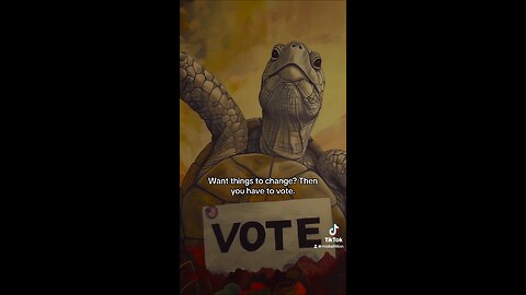 Vote Turtles 2024