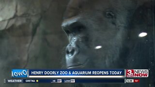 What to expect at the zoo on reopening day
