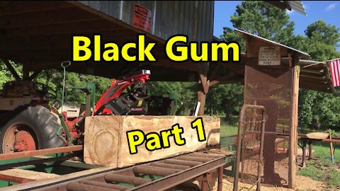Sawmill Blackgum Lumber Part 1