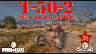 T-50-2 - Antal_Botond [MYBEE]