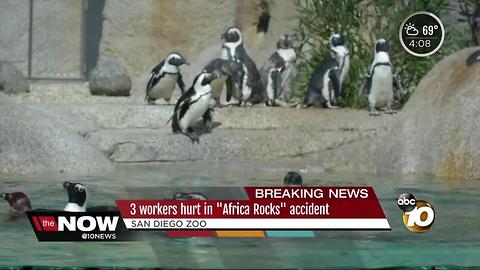 Three workers hurt at San Diego Zoo