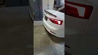 LOUD EXHAUST POPS - STAGE 2 B9 AUDI S5 #audi #shorts