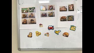 Make Matching Picture Activities from Magnetic Puzzles Pieces