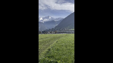 super Birds at Central Switzerland