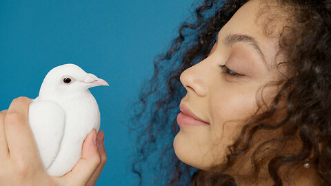 Christian wives should remember that the Holy Spirit was a dove