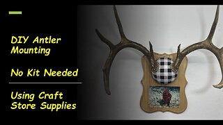 DIY Deer Antler Mounting - No kit required