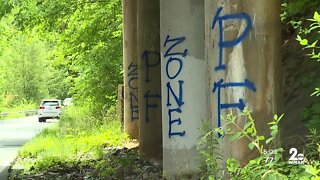 White nationalist graffiti in Harford County