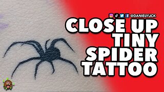 Mini Spider Tattoo