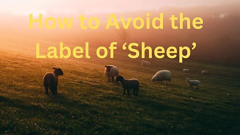 How to Avoid the Label of ‘Sheep’ ∞The 9D Arcturian Council, Channeled by Daniel Scranton 05-26-23