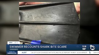 Coronado swimmer recounts shark bite scare