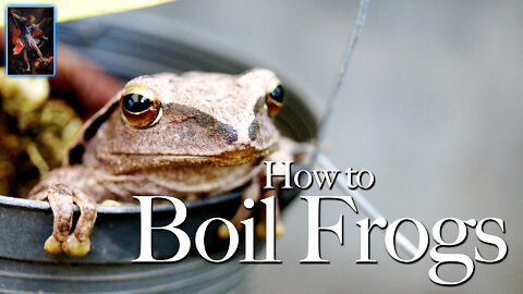 How to Boil Frogs: Recent Surge in Deaths by Unknown Causes Raises Disturbing Questions