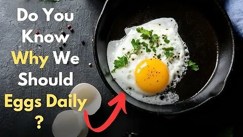 Why You Need to Eat 2 to 4 Eggs Daily in 2023