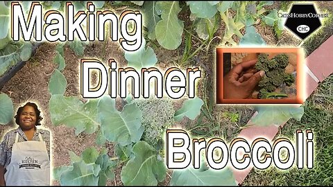 #making #dinner #broccoli - #catshobbycorner