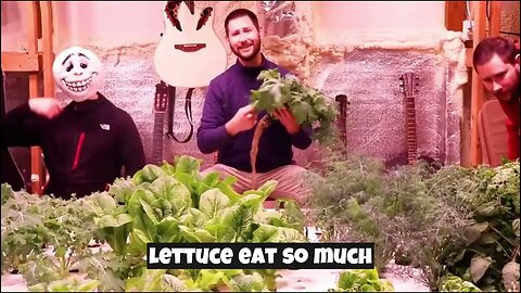 Lettuce Like This - James Thaddeus (Official Lyric Video)