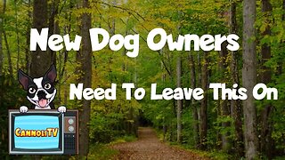 New Dog Owners Need To Leave This On!